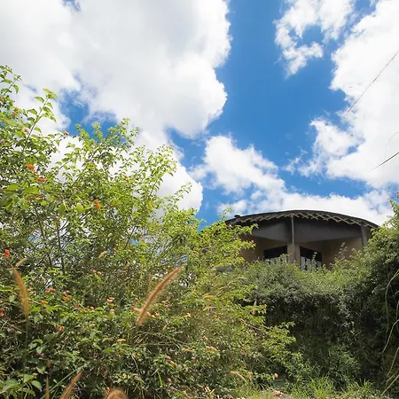 Villa Verde Ella-2